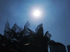 景点-广州珠江公园