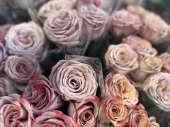 -循礼门鲜花花市(武汉循礼门店)