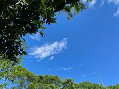 -西双版纳原始森林公园