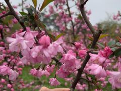 -玄武湖景区-情侣园游乐场