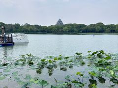 -金鸡湖桃花岛