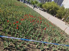 -长春公园(普阳街道)