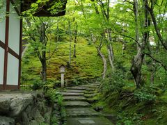 -常寂光寺