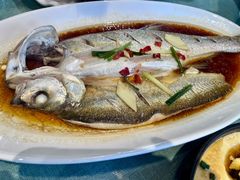 -西塘人家•黑金冠本地好店