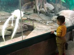 -福州罗源湾海洋世界旅游区