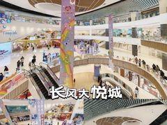 -上海长风大悦城