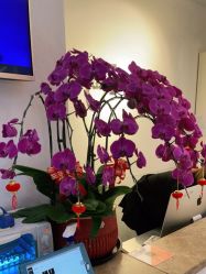 -Hair ART造型沙龙