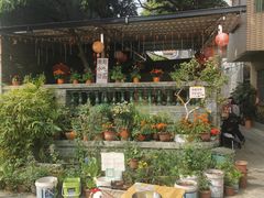 -烟桥古村