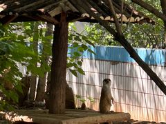 -石家庄市动物园