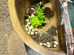 -蘭奢雅集·江浙菜(青山江滩店)