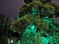 -南京东郊国宾馆