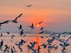 -北戴河转鱼·炒螃蟹酱餐厅