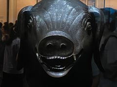 -广西壮族自治区博物馆