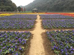 -广州市石门国家森林公园