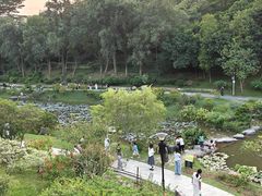 -东莞植物园