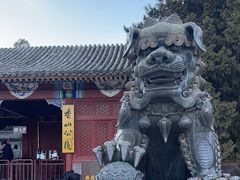 -香山公园