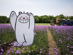 -同里国家湿地公园