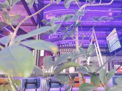 -bluefrog蓝蛙(皇庭广场店)