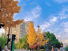 -浙江省立同德医院(翠苑院区)