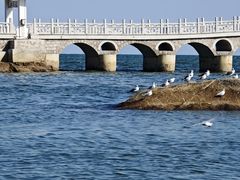 -兴城海滨风景区