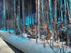 -沈阳“九·一八”历史博物馆