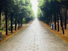 -秦始皇帝陵博物院-丽山园