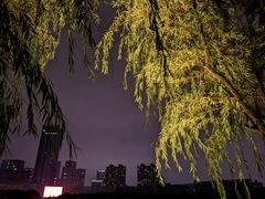 -天鹅湖体育公园