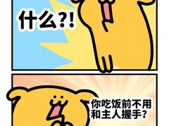 -纳吉亚猫专科动物医院博雅分院