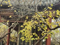 -碑林公园