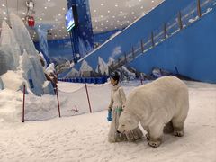 -长沙湘江冰雪世界