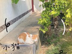 -常熟方塔园