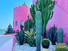 -漳州滨海火山岛自然生态风景区