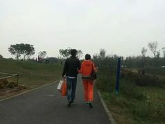 -白鹭湾湿地公园