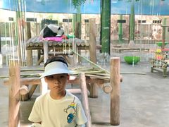 -栾川竹海野生动物园