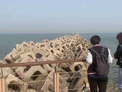 -东疆建设开发纪念公园