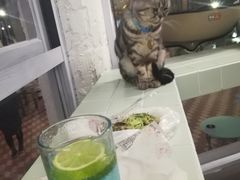 -有猫主题·治愈系猫咖(曾厝垵店)