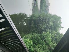 -重庆彩云湖湿地公园