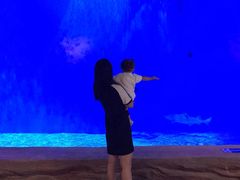 -华夏文旅海洋公园