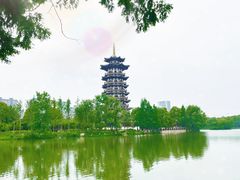 -洋湖国家湿地公园