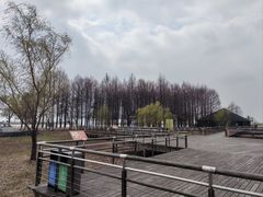-苏州太湖湖滨国家湿地公园