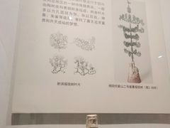 -四川宋瓷博物馆