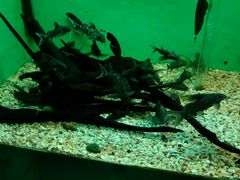 -常州海昌海洋探索馆