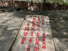 -乌山风景区