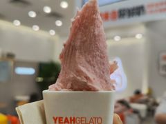 -野人先生现做冰淇淋(北京环宇荟店)
