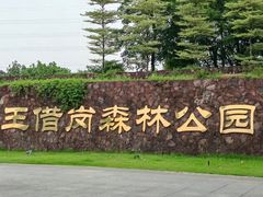 -王借岗森林公园