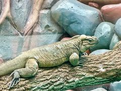 -贵州森林野生动物园