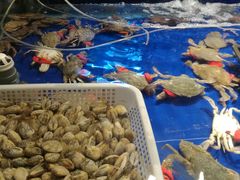 -原乡故事里海鲜大餐(玉祥门北马道巷店)