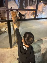 -酷嗒动物文化乐园(cutezoo西溪乐天城店)