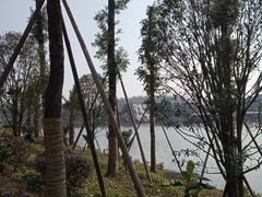 -枫香湖儿童公园