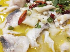 -陶然饺子城(奥体中路店)